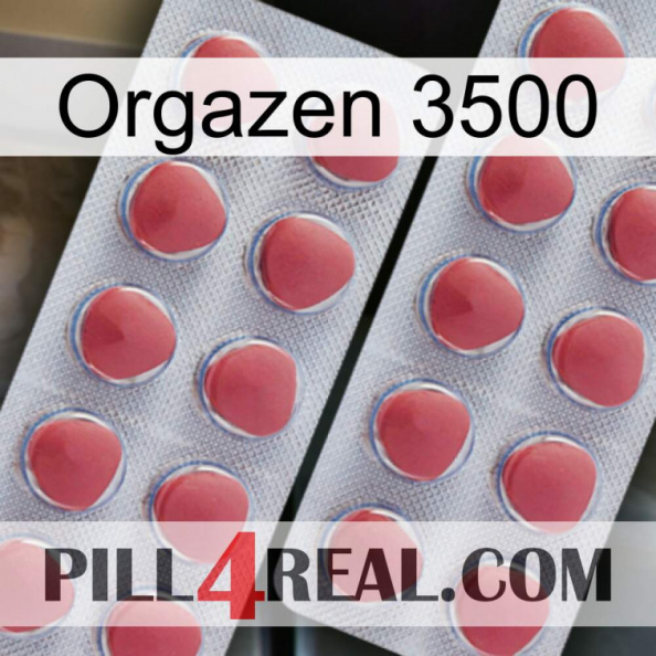 Orgazen 3500 19